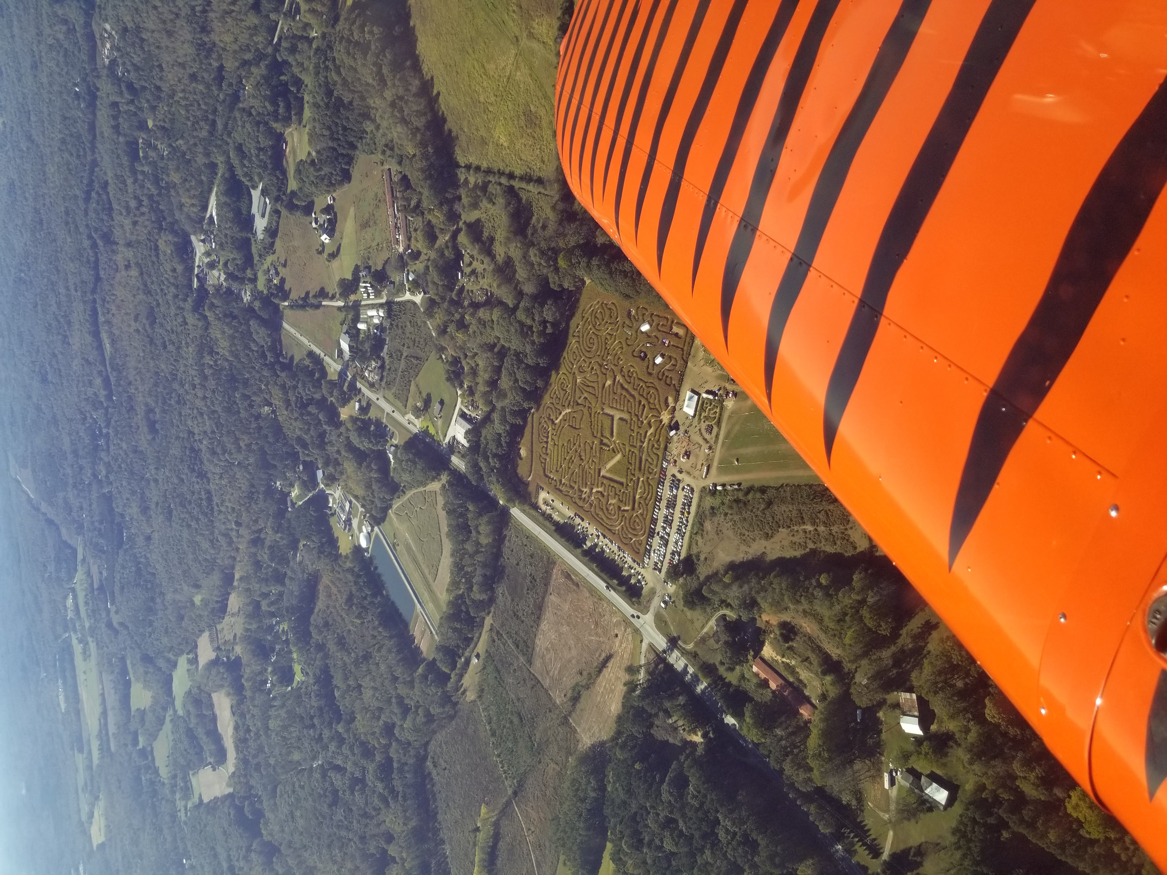 Looking Down